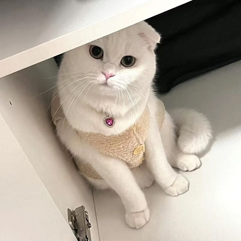 Popular Internet Celebrity Cat Pearl Necklace - Image 10