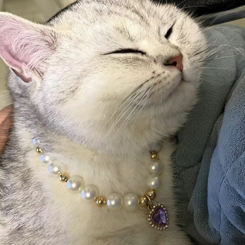 Popular Internet Celebrity Cat Pearl Necklace - Image 9