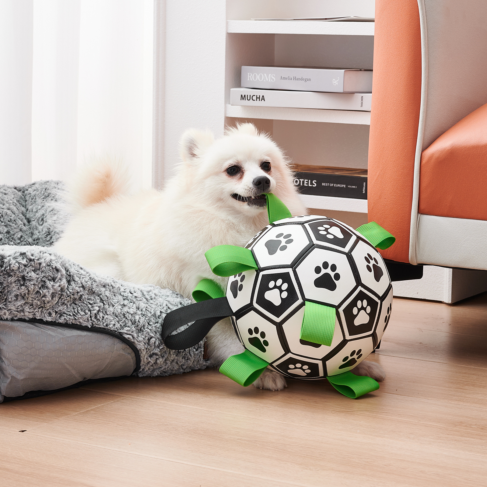 Interactive Dog Football Toy Soccer Ball Inflated Training Toy For Dogs Outdoor Border Collie Balls For Large Dogs Pet Supplies - Image 10